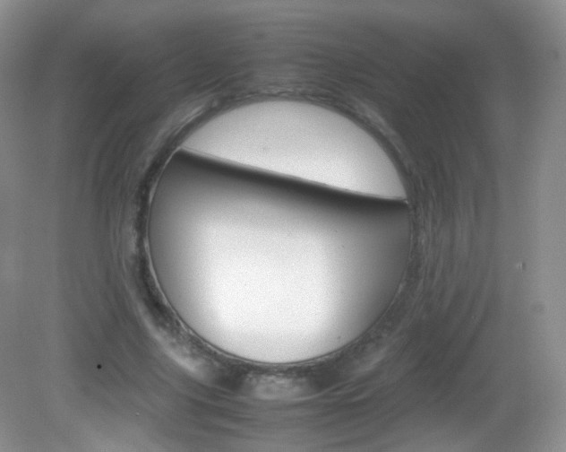 X0000082940635200702011113