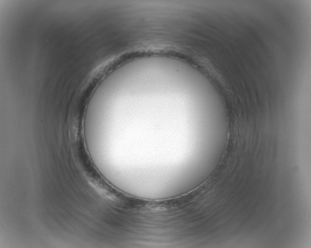 X0000082940640200702011113