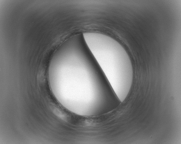 X0000082940641200702011113
