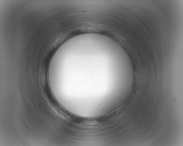 X0000082940642200702011113