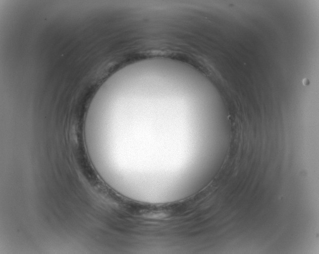 X0000082940643200702011113