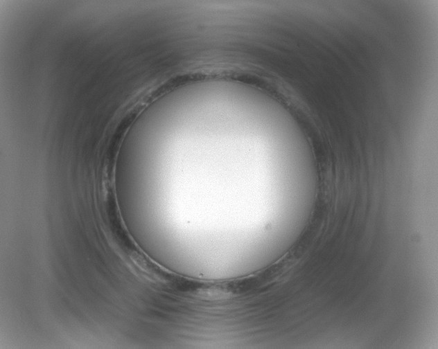 X0000082940644200702011113