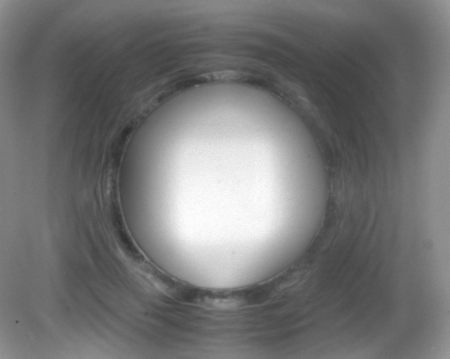 X0000082940645200702011113