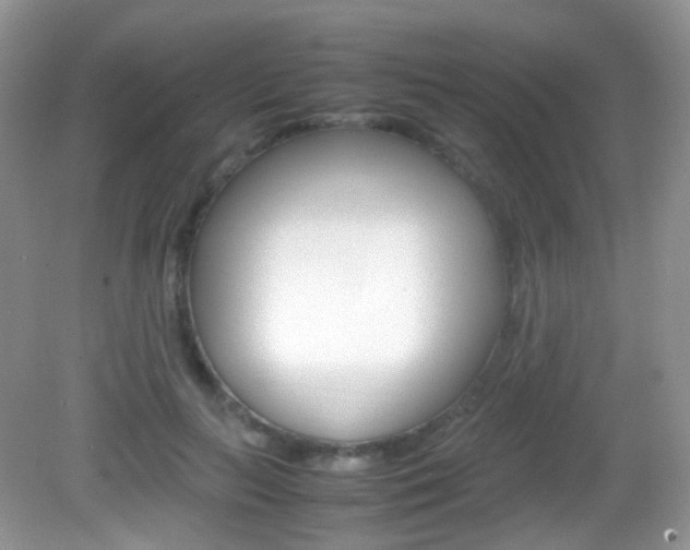 X0000082940647200702011113