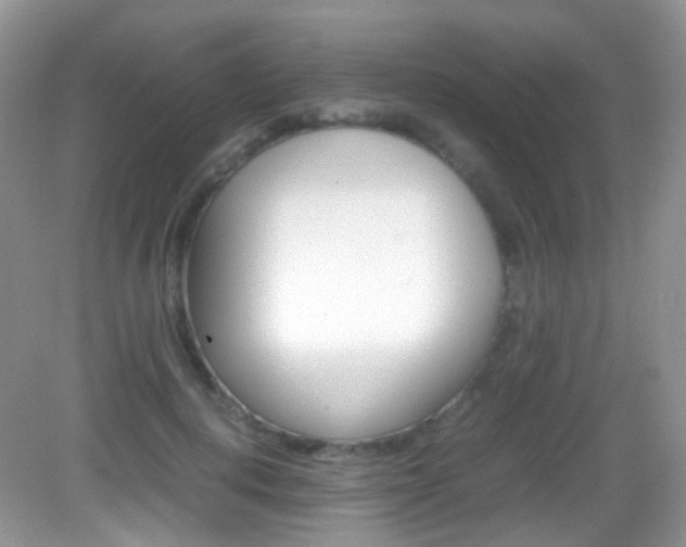 X0000082940648200702011113