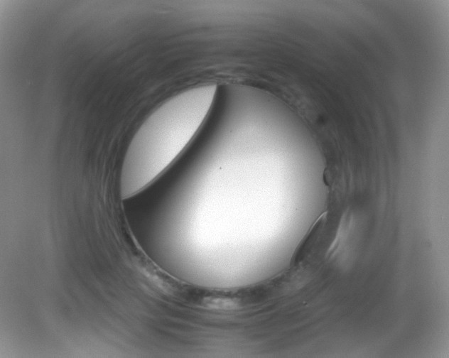 X0000082940649200702011113