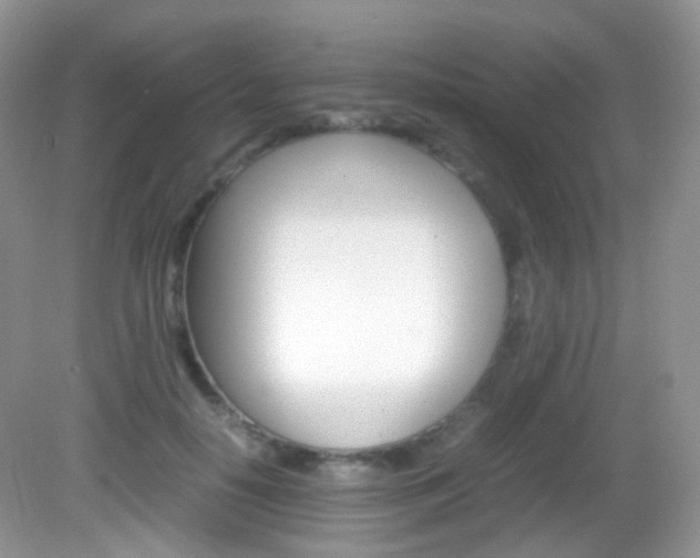 X0000082940650200702011113