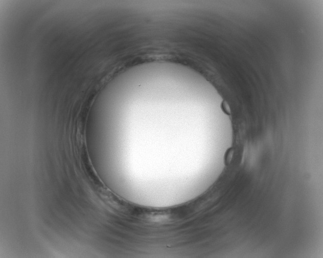 X0000082940651200702011113