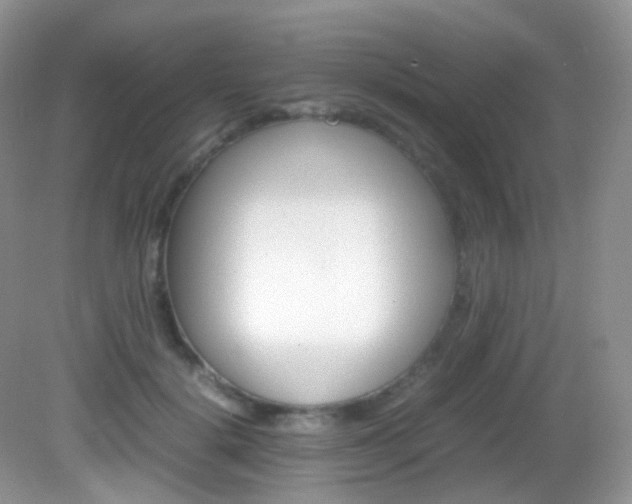 X0000082940652200702011113