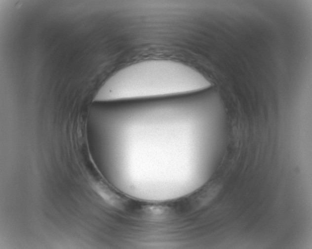 X0000082940654200702011113
