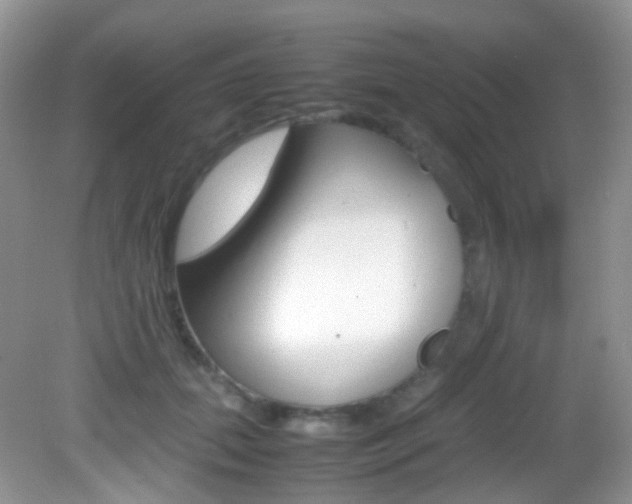 X0000082940655200702011113