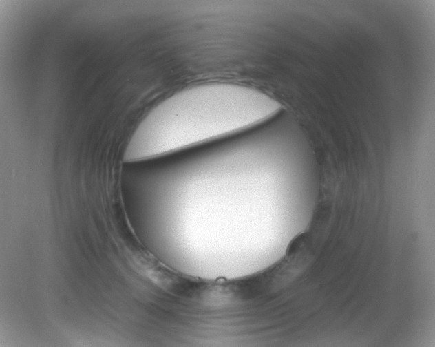 X0000082940656200702011113