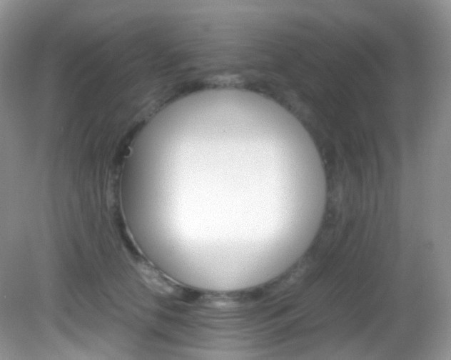 X0000082940658200702011113