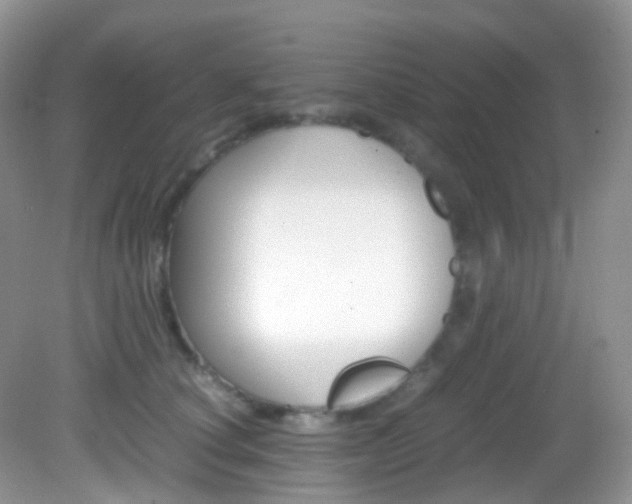 X0000082940660200702011113