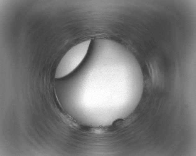 X0000082940662200702011113