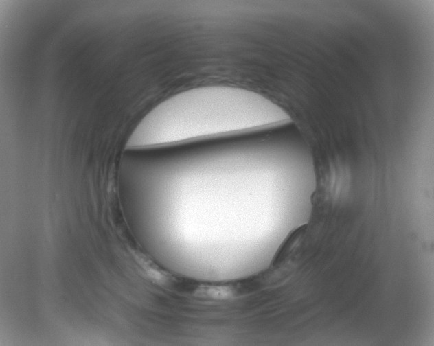 X0000082940665200702011113