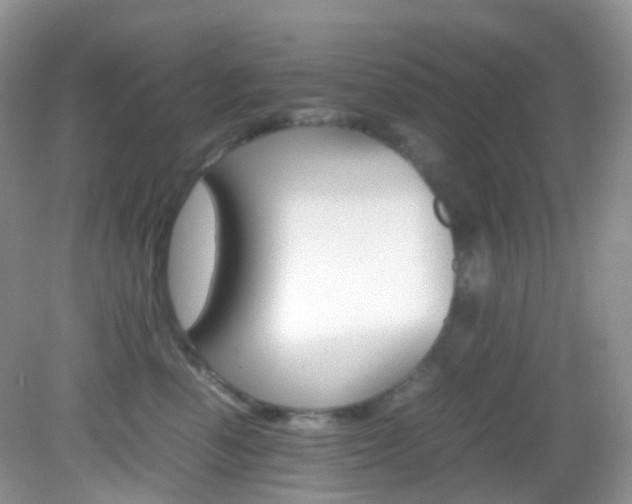 X0000082940666200702011113