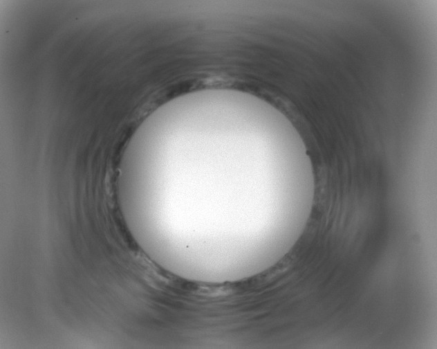 X0000082940667200702011113