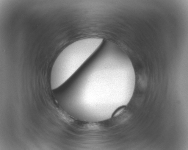 X0000082940668200702011113