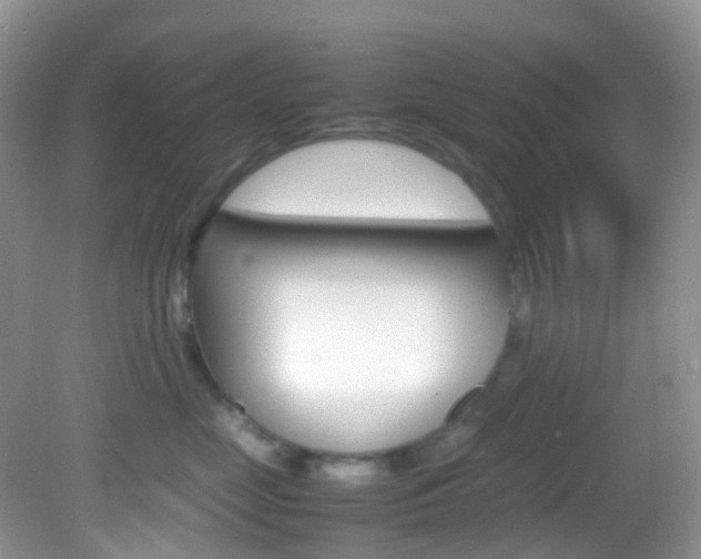 X0000082940669200702011113