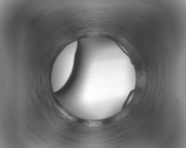 X0000082940670200702011113