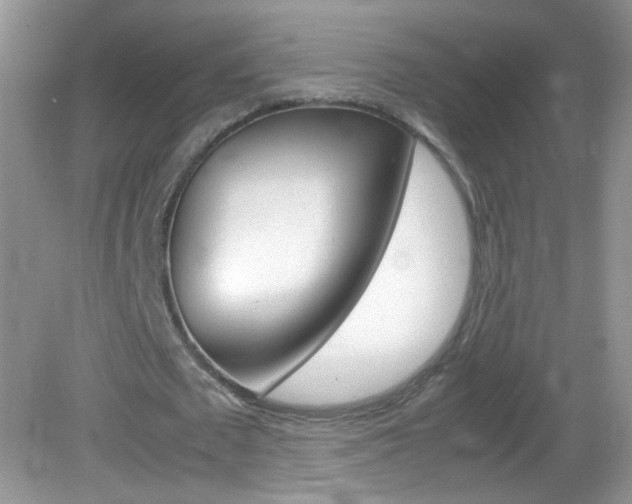X0000082940673200702011113