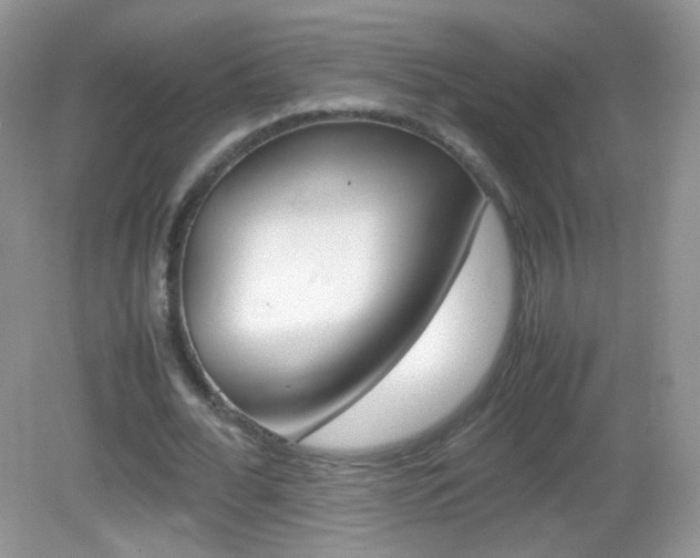 X0000082940676200702011113