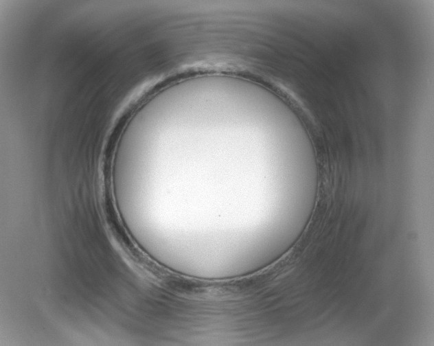 X0000082940678200702011112