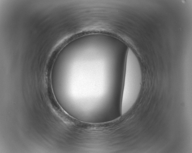 X0000082940680200702011112