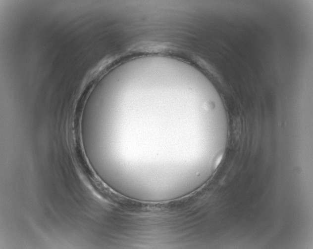 X0000082940682200702011112