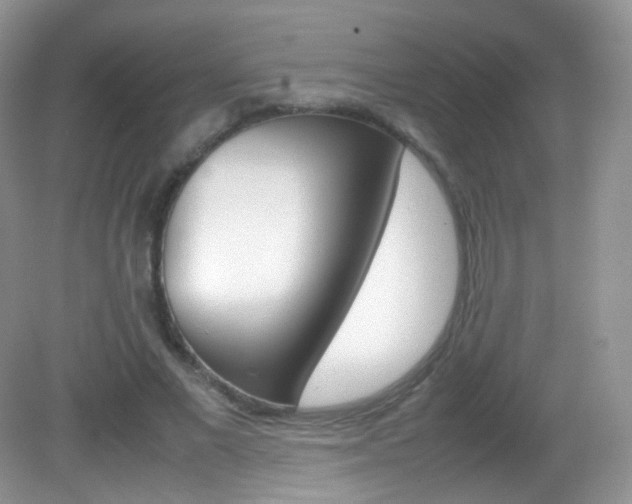 X0000082940685200702011112