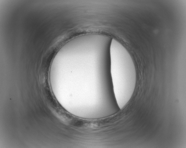 X0000082940687200702011112