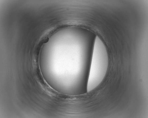 X0000082940688200702011112