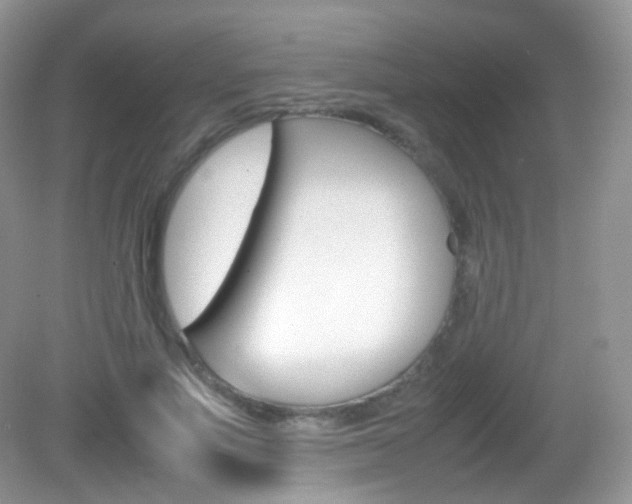 X0000082940691200702011112
