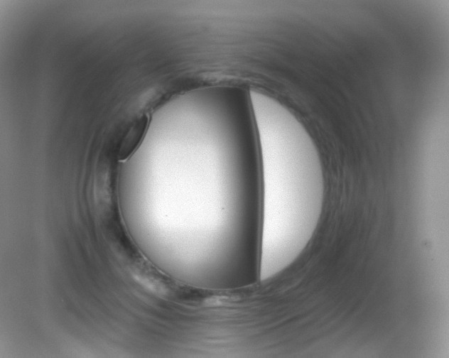 X0000082940700200702011112