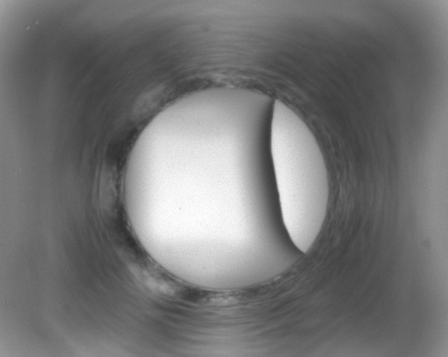 X0000082940702200702011112