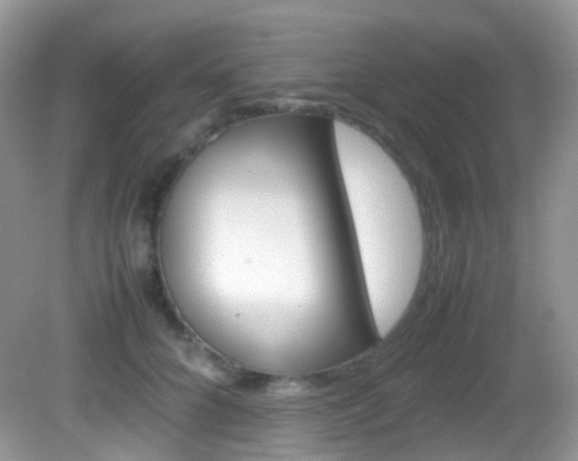 X0000082940704200702011112