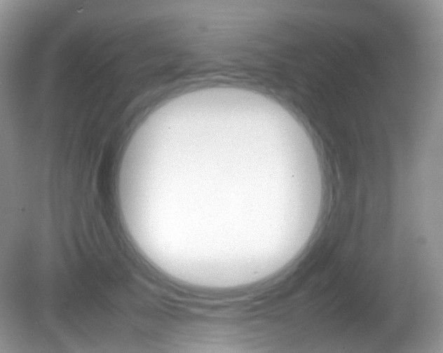 X0000082940705200702011112