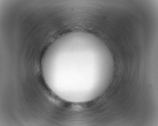 X0000082940706200702011112