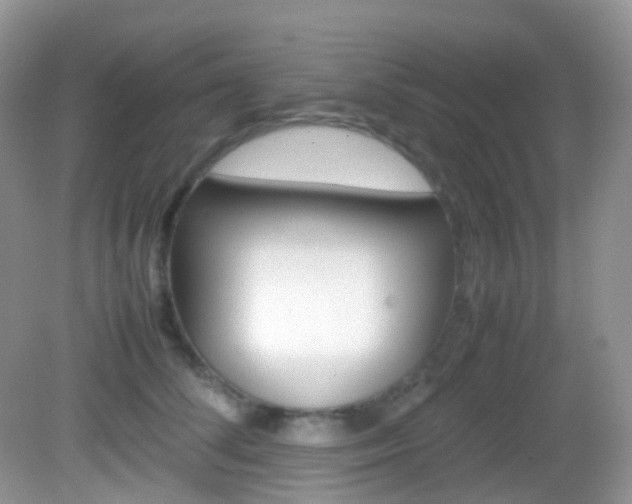 X0000082940708200702011112
