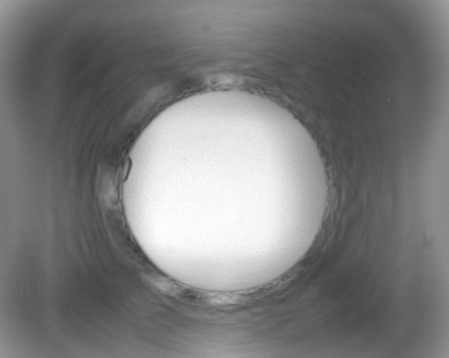 X0000082940709200702011112