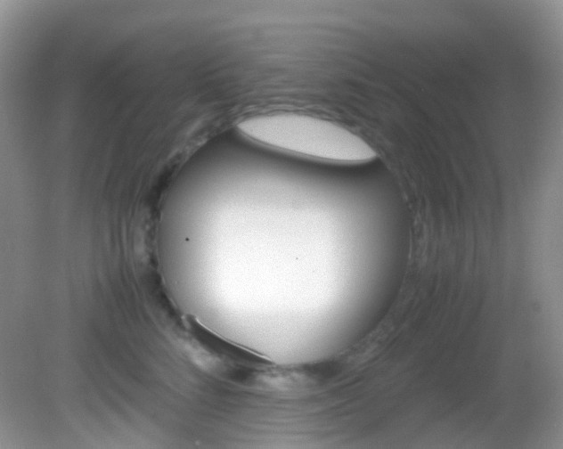 X0000082940712200702011112