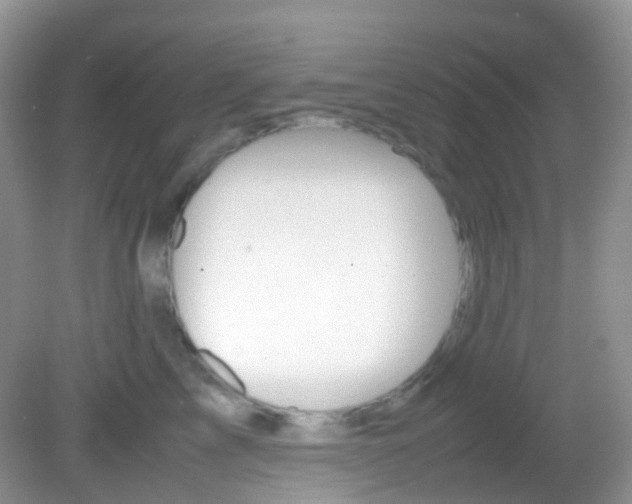 X0000082940713200702011112