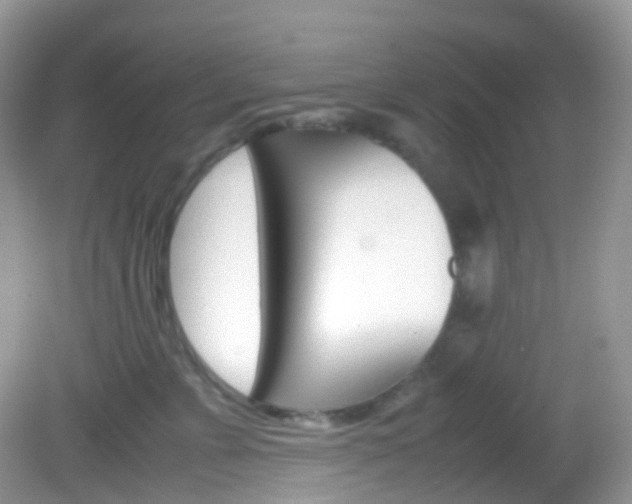 X0000082940715200702011112