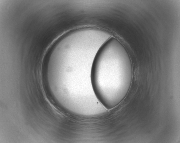X0000082940722200702011111