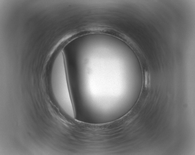 X0000082940723200702011111