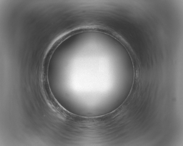 X0000082940724200702011111
