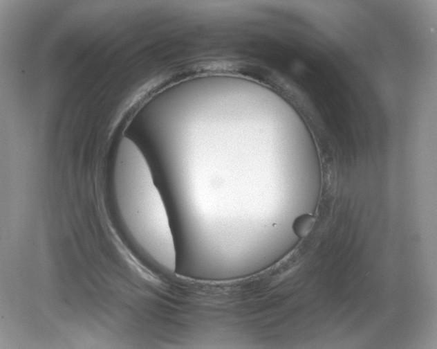X0000082940725200702011111