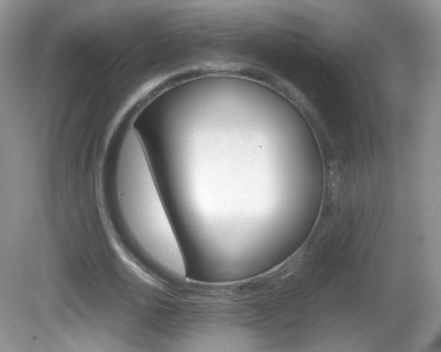 X0000082940726200702011111