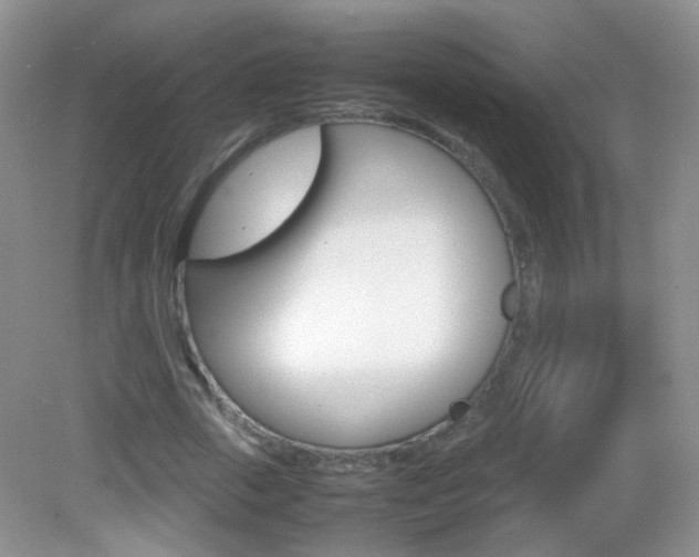 X0000082940729200702011111